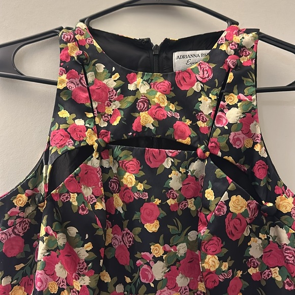 Adrianna Papell spring/summer party or wedding guest dress - Picture 2 of 5